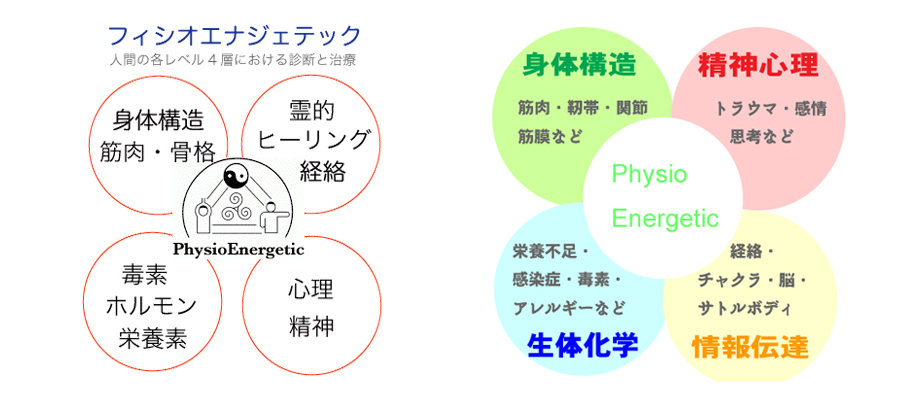 フィシオエナジェティック